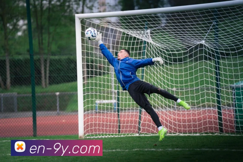 九游官网APP 封面图